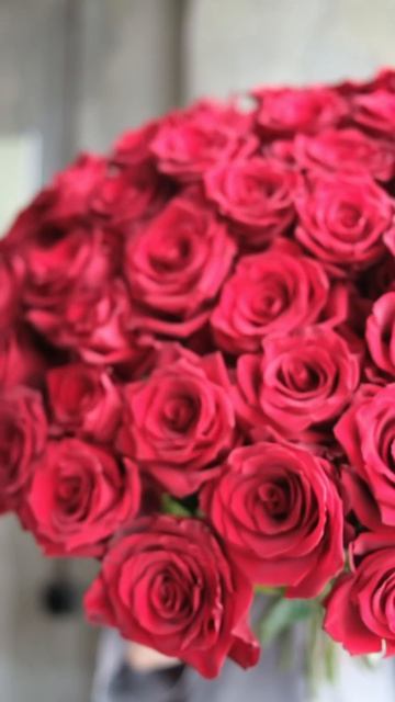 ПУР-ПУР ГОловинсоке шоссе 10 Б_5981