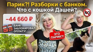 Я ношу парик? Разборки с банком. Кошка Даша и моя рассада помидор.