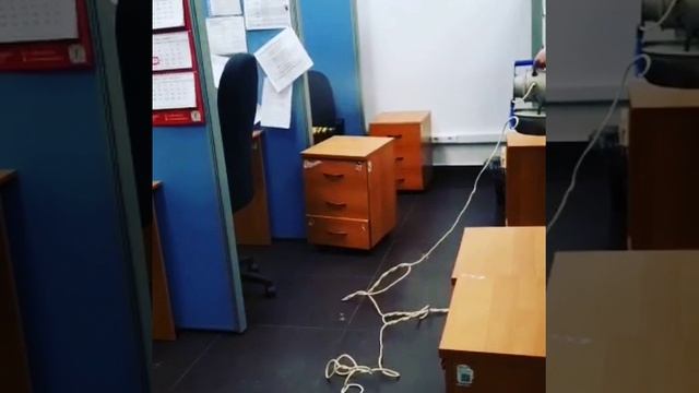 Борьба с тараканами