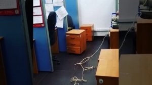 Борьба с тараканами