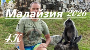 3 дня в Малайзии: Куала-Лумпур, Селангор, лангуры и светлячки в 4К