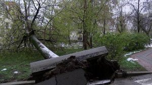 Сильные осадки в столице не прекратятся до среды.