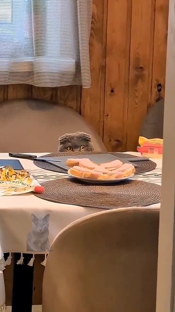 Откр ывай ско рее у две рей Я