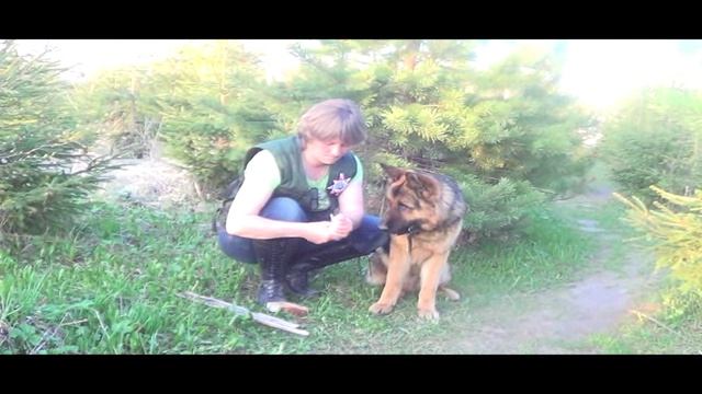 Пес добывает огонь