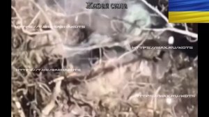 Война роботов на добропольском направлении.