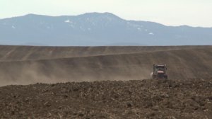 В Хакасии стартовала посевная кампания