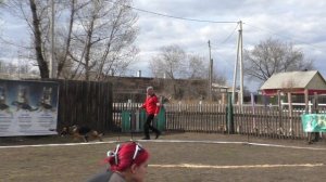 СУКИ СТАНДАРТ МОЛОДЫЕ