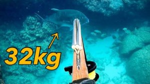 Подводная охота / Гигантский каранкс 32 кг