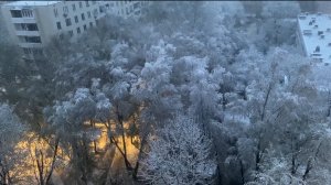 Такой погоды ещё не видела. Хороший хозяин собаку не выгонит на улицу в такую погоду.