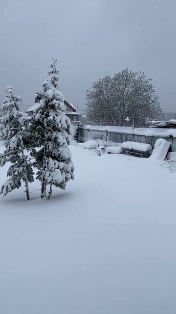 ВЕСНА В ПОДМОСКОВЬЕ!!!