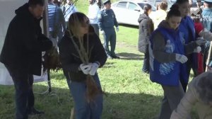 Карачаево-Черкесия online: Лесовосстановление и пожарная охрана лесов в КЧР (27.04.2026)