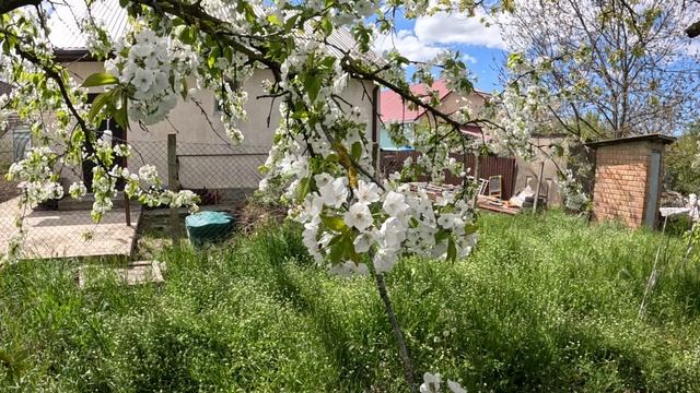 Анапа.28.04.2026. Домик в деревне. Дела не дают работать.