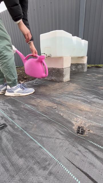 Грядки в загородном доме