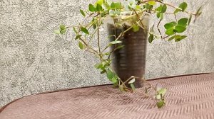 Избаловали донатами, наглеют. Страничка надежды