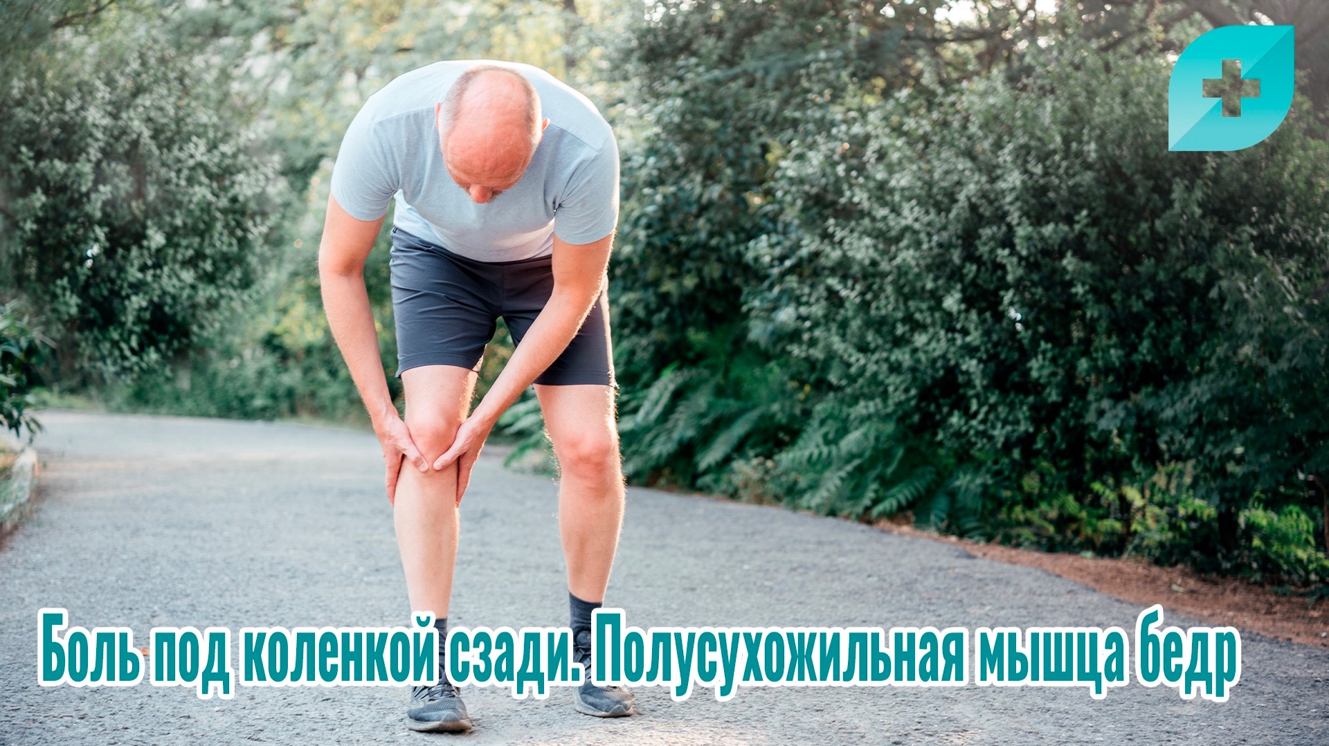 Боль под коленкой сзади. Полусухожильная мышца бед