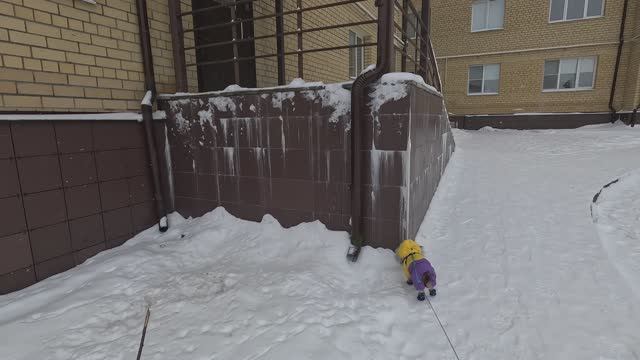 Прогулка с Джеффом зимой в Завидово (часть 1)