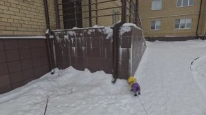 Прогулка с Джеффом зимой в Завидово (часть 1)