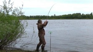 Лещей воруют- Руки Трясутся! Рыбалка на Леща ! Фидер с Короткими Поводками!