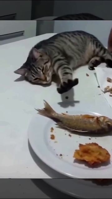 Рыба уплыла