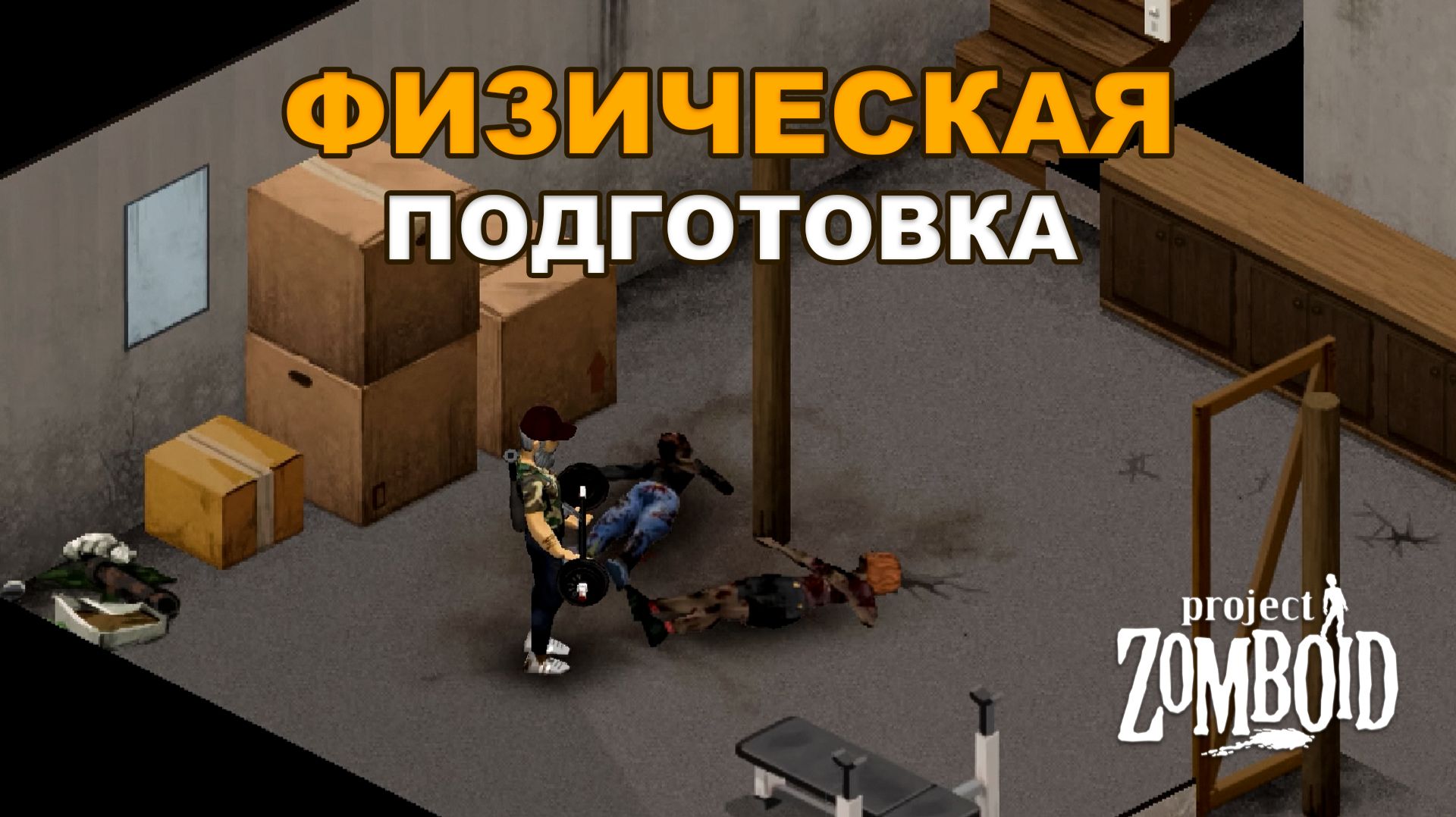 Всё о Силе, Выносливости, Скорости Персонажа в Project Zomboid