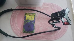 28.04.2026 О новых покупках, о старых кашпо, о погоде и о планах.