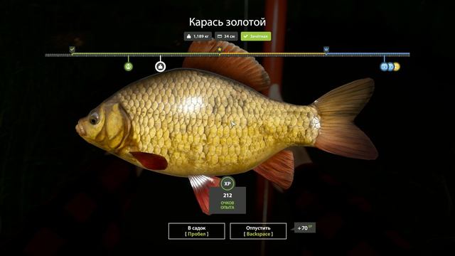 Russian Fishing 4 16 серия Рыбачу потихоньку, набираю опыт
