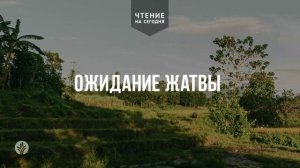 ОЖИДАНИЕ ЖАТВЫ  | АУДИО |	13	  мая 2026