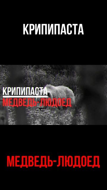Медведь-людоед. Городские легенды. Candida. Крипипаста.