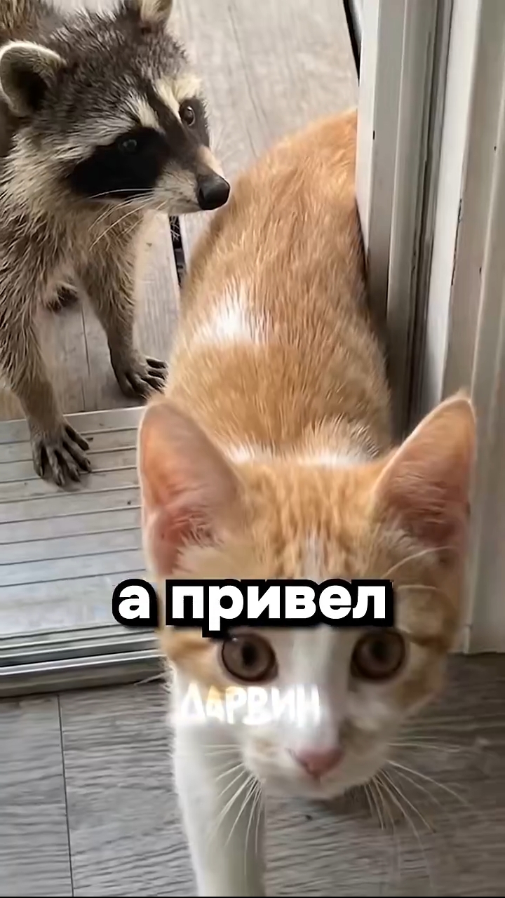 Лучшие друзья!