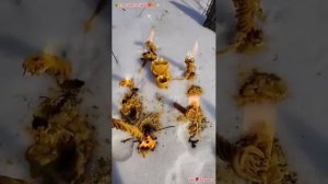 🔥 СНЯТИЕ ОСТУД🌈🍯ОТКРЫТИЕ МЕДОВЫХ ПУТЕЙ ДОРОГ🍯ВОЗВРАЩАЕМ НАМ МЕДОВУЮ ДОЛЮ🍯МЕДОВУЮ СУДЬБУ💫🌈