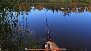 Russian Fishing 4 2026.04.15 - 06.14.24.01