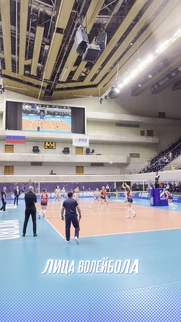 ДИНАМО МОСКВА В 1 МАТЧЕ ФИНАЛА 6 КУБКА РОССИИ СИЛЬНЕЕ ТУЛИЦЫ 3:0 #shorts #лицаволейбола #волейбол