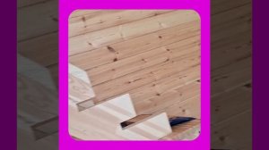 1000057195.mp4 (Собака наблюдает за устройством лестницы на 2-ой этаж в доме А-фрейм)