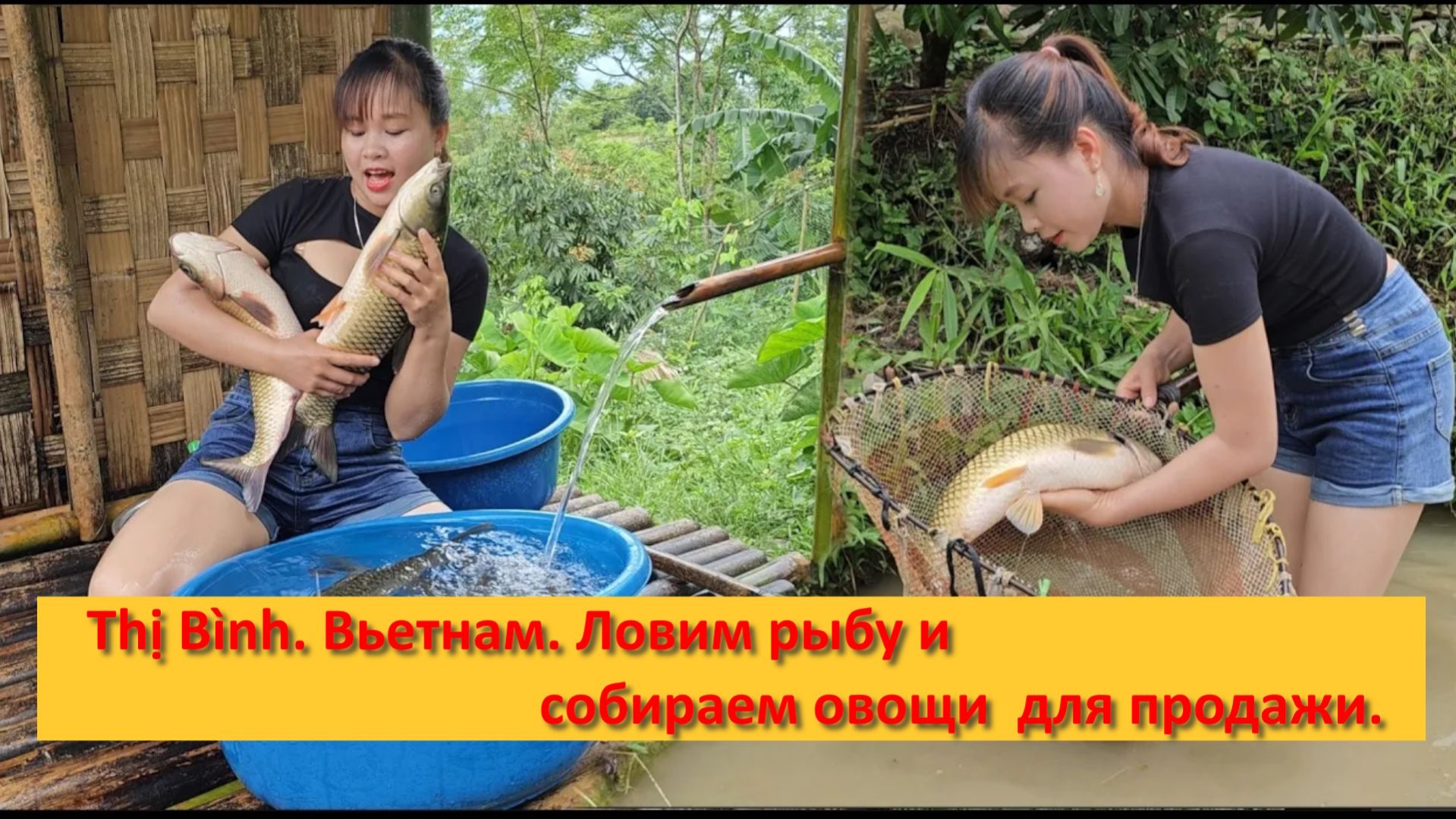 Thị Bình. Вьетнам. Будни на ферме. Ловим рыбу и собираем овощи  для продажи.