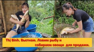 Thị Bình. Вьетнам. Будни на ферме. Ловим рыбу и собираем овощи  для продажи.