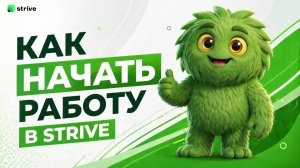 Как начать работу в Strive?
