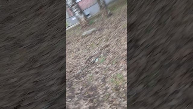 10 часть черноб