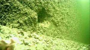 1000016448.mp4Волга гл.5м.28.04.2026г.