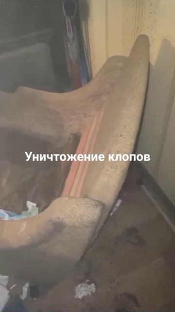 Уничтожение клопов