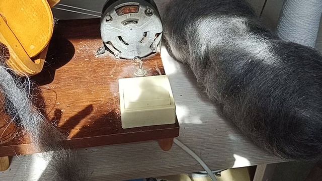 Светло серый козий пух для прядения