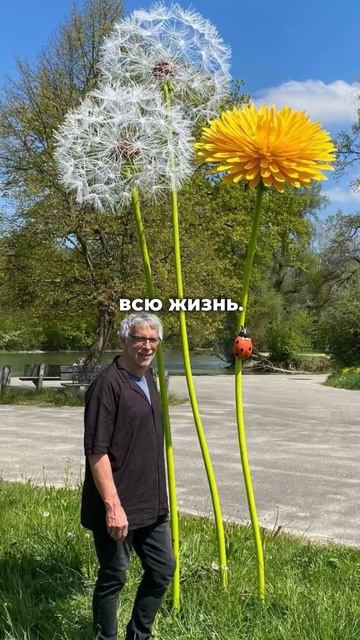 ОДУВАНЧИКИ 4 МЕТРА - Руслан Друми