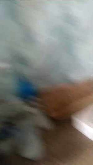 мой питомец