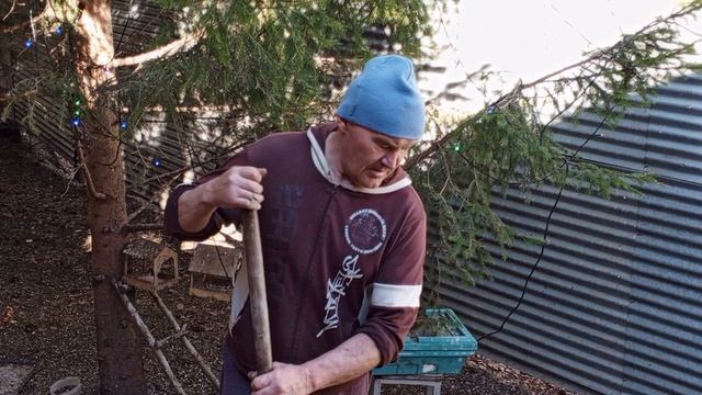 утро начинается с уборки зоопарка