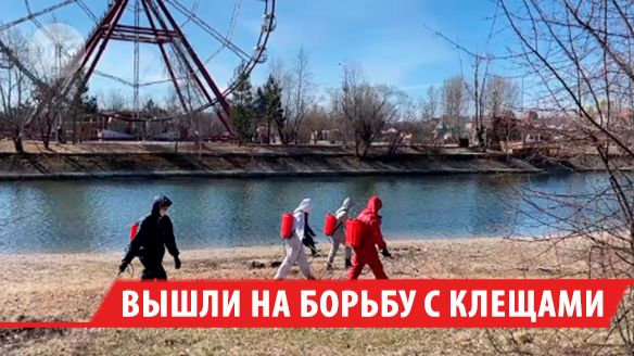 В Иркутске обработают от клещей 43 территории или более тысячи гектаров