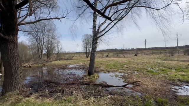 ЗУ 1089 д. Парфеново