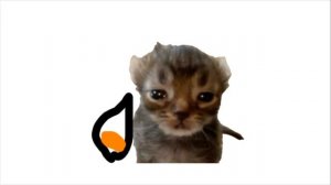 котяры осень 16 серия мультфильм для детей