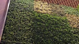 Друзья пришли провожать. Аэропорт Бангалора. Летим в Куала-Лампур, Малайзия. (1)