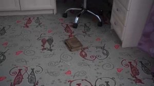 Поговорили с ТЭКЕ ТЭКЕ в реальности и это было ошибкой.mp4