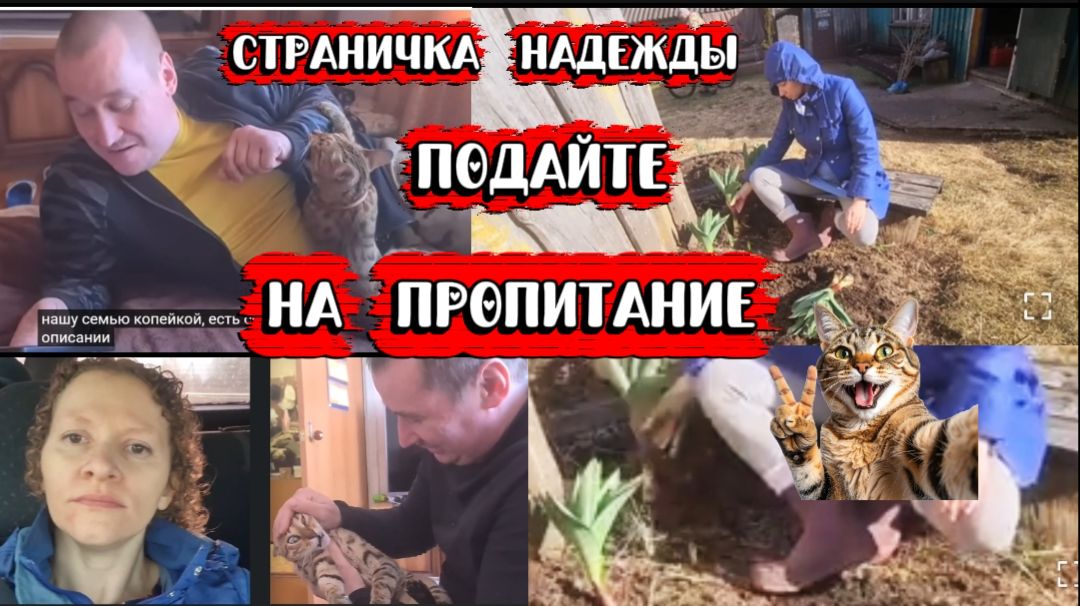 Страничка Надежды готова принести пользу обществу А рука тянется в чужой карман