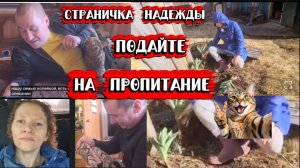 Страничка Надежды готова принести пользу обществу А рука тянется в чужой карман